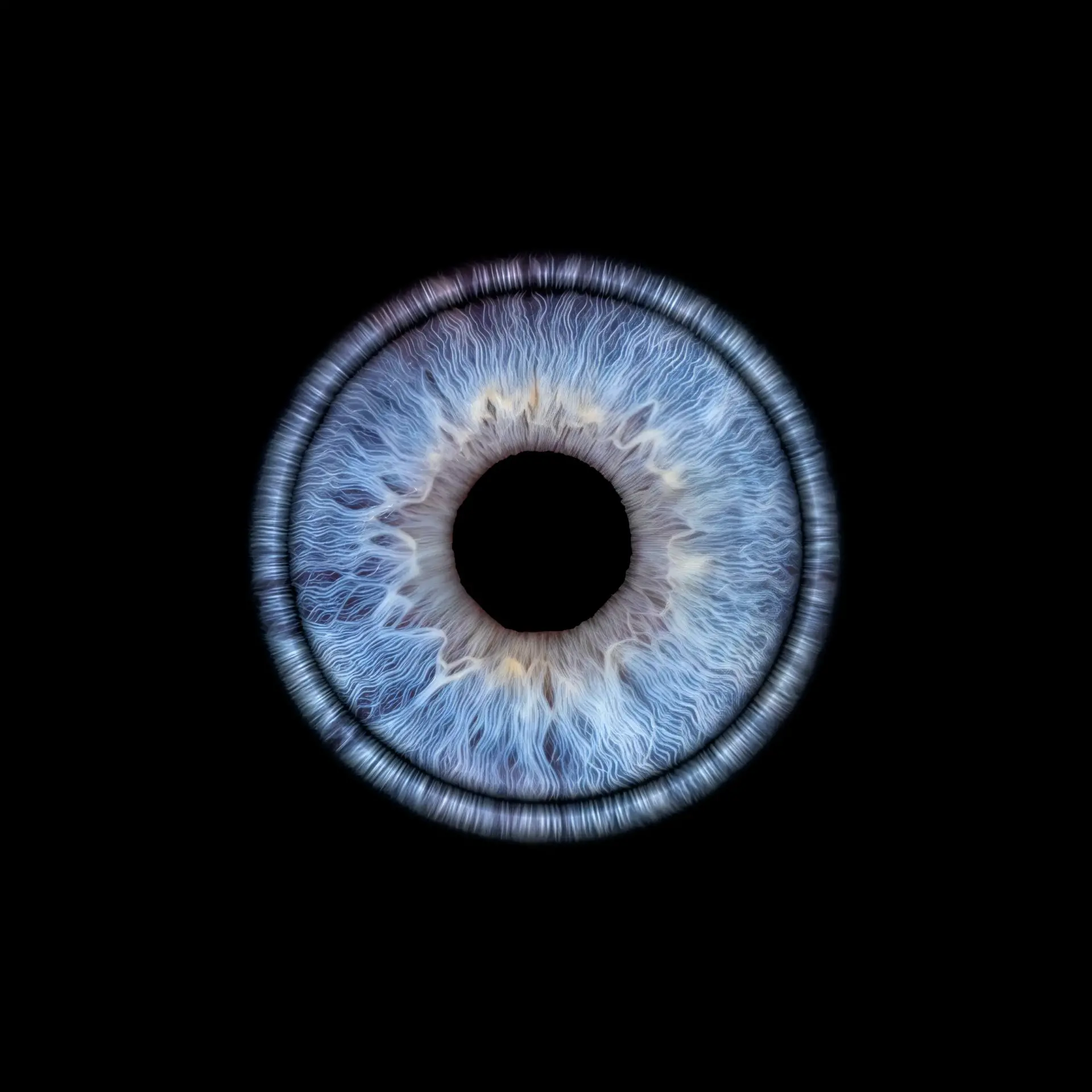 Iris amiens shooting